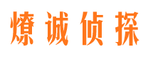 嵩县市调查公司